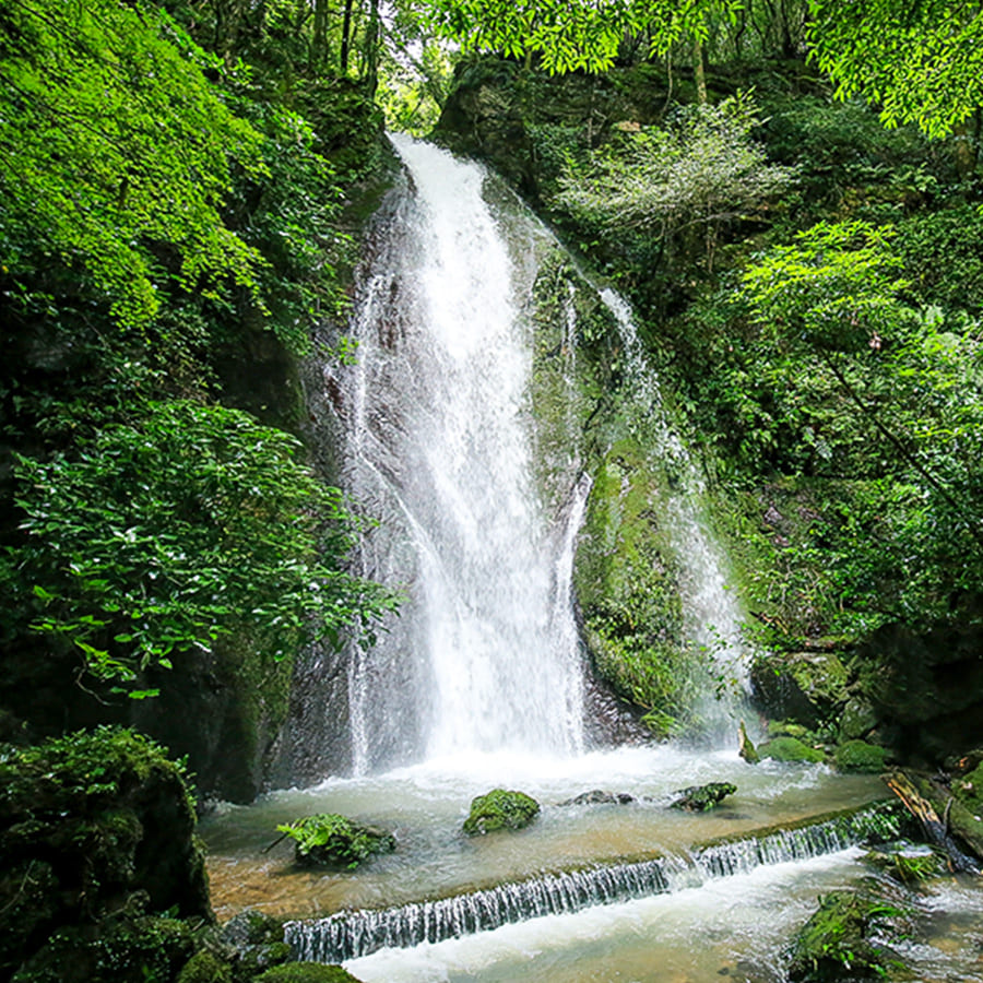 自然の中にある滝